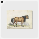 1-11_Charles-Hamilton-Smith_postcard