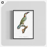 1-11_Des-Oiseaux-de-Paradis_blk-crop