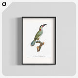 1-11_Des-Oiseaux-de-Paradis_blk