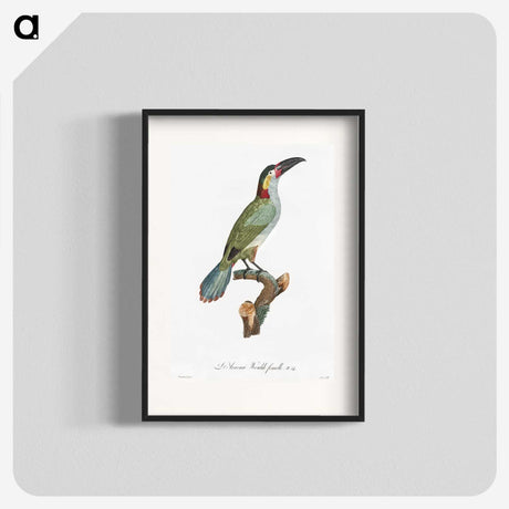 1-11_Des-Oiseaux-de-Paradis_blk