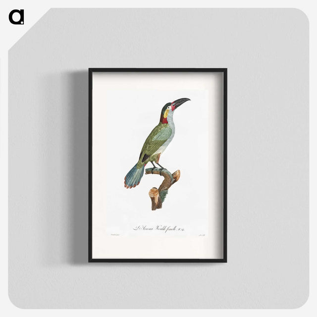 1-11_Des-Oiseaux-de-Paradis_blk