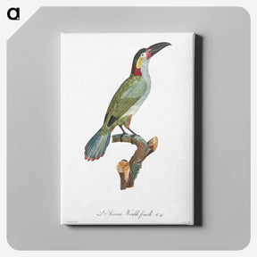 1-11_Des-Oiseaux-de-Paradis_canvas