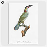 1-11_Des-Oiseaux-de-Paradis_picture-crop