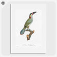 1-11_Des-Oiseaux-de-Paradis_picture