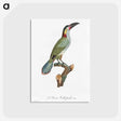 1-11_Des-Oiseaux-de-Paradis_postcard