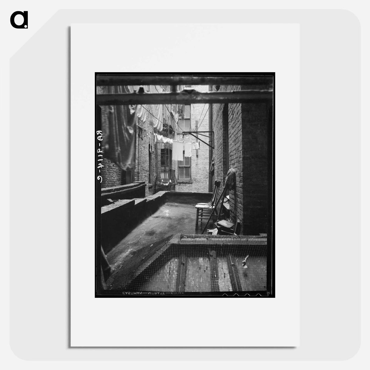 Out of rear window tenement dwelling of Mr. and Mrs. Jacob Solomon - Dorothea Lange Poster.