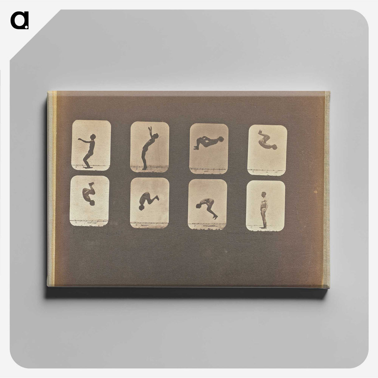 1-11_Eadweard-Muybridge_canvas