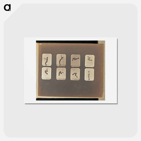 アートポストカード-Back Somersault
 - エドワード マイブリッジ Postcard.