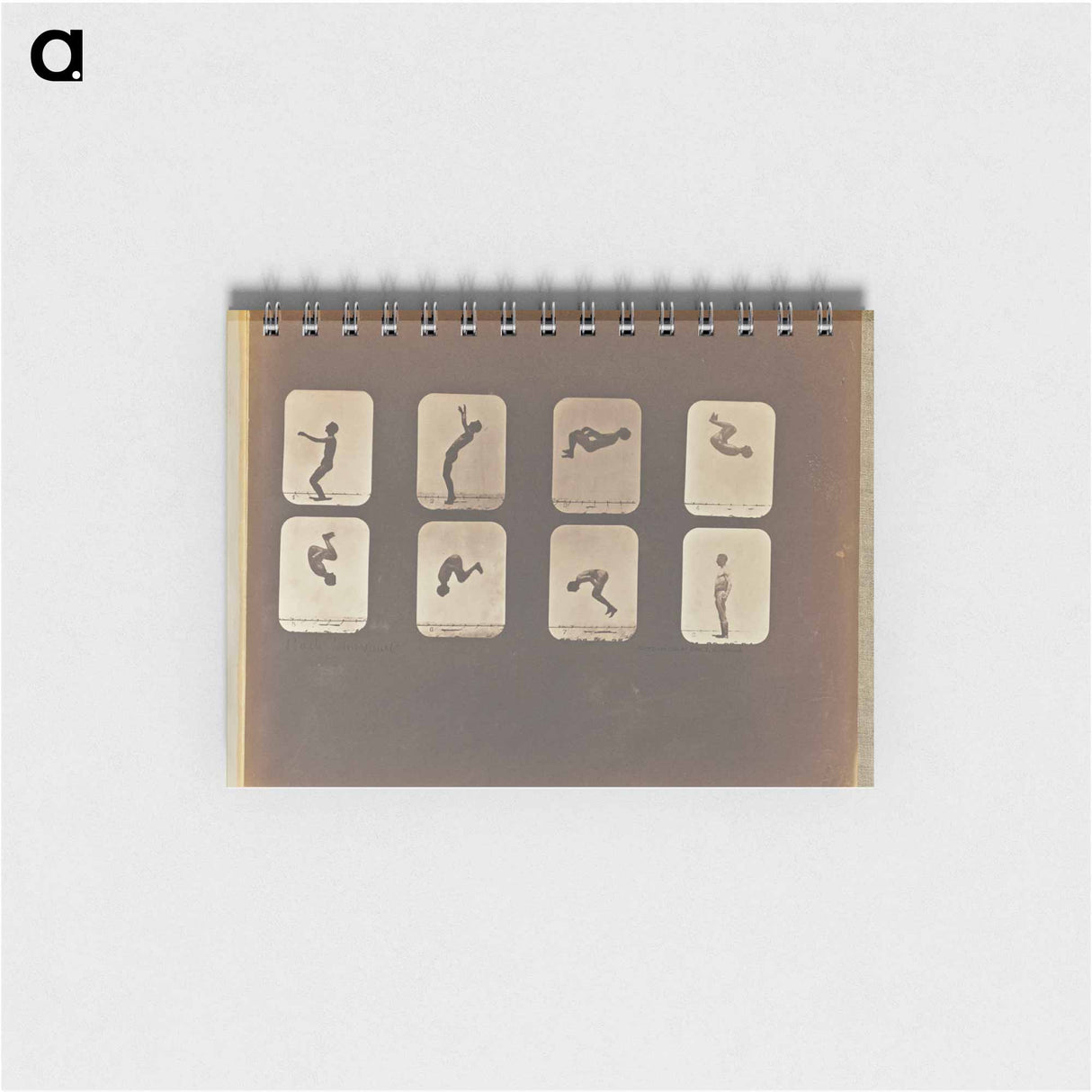 アートメモ帳-Back Somersault
 - エドワード マイブリッジ Memo.