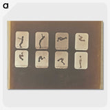 1-11_Eadweard-Muybridge_picture-crop