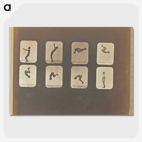 1-11_Eadweard-Muybridge_picture-crop