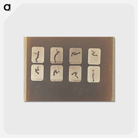アートポストカード-Back Somersault
 - エドワード マイブリッジ Postcard.