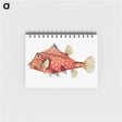 アートメモ帳-Vintage fish illustration - エルンスト ヘッケル Memo.