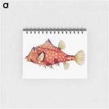 アートメモ帳-Vintage fish illustration - エルンスト ヘッケル Memo.