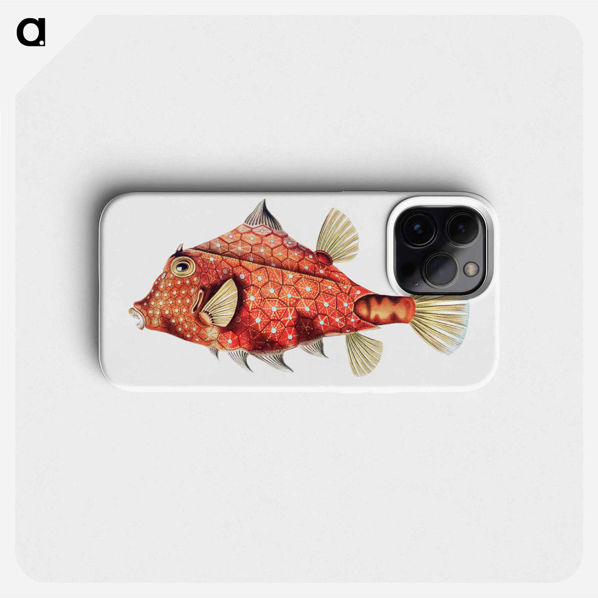 Vintage fish illustration - エルンスト ヘッケル Phone Case.