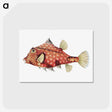 1-11_Ernst-Haeckel_postcard