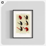 1-11_Favorite-Flies-and-Their-History_blk