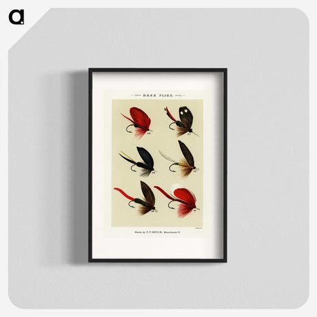 1-11_Favorite-Flies-and-Their-History_blk