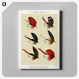 1-11_Favorite-Flies-and-Their-History_canvas