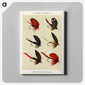 1-11_Favorite-Flies-and-Their-History_canvas