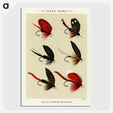 1-11_Favorite-Flies-and-Their-History_picture-crop