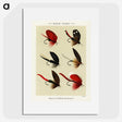 1-11_Favorite-Flies-and-Their-History_picture