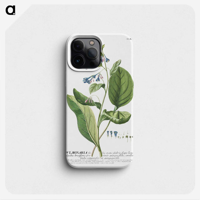 1-11_Georg-Dionysius-Ehret_phone