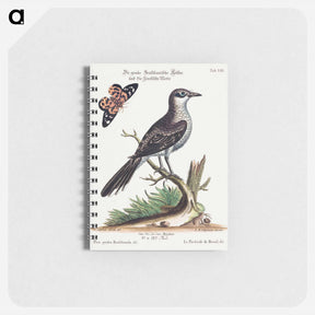 アートメモ帳-Pica grisea Brasiliensis
 - ジョージ エドワーズ Memo.