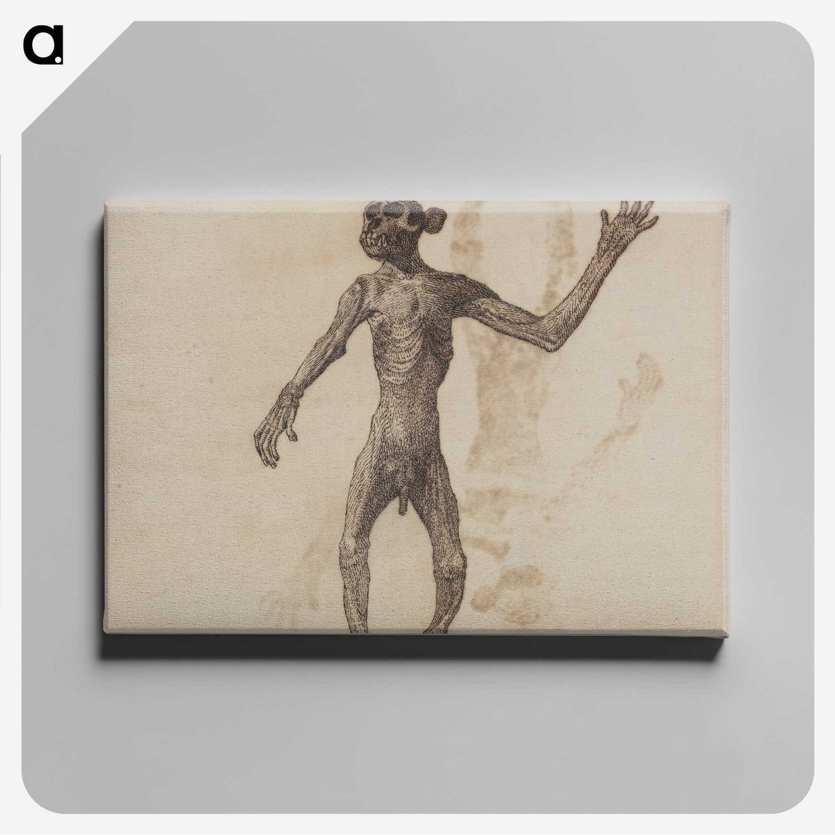 1-11_George-Stubbs_canvas