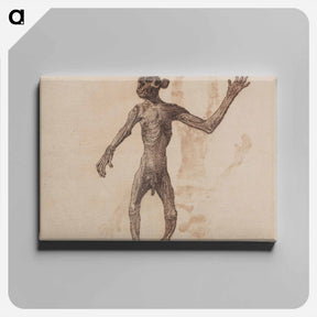 アートパネル-Monkey Standing, Anterior View
 - ジョージ スタッブス Canvas.