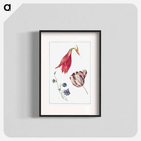 アートポスター-Tulp, Akelei en Amaryllis
 - ジョージアス ヤコブス ヨハネス ファン オス Poster.