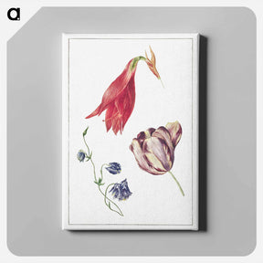 アートパネル-Tulp, Akelei en Amaryllis
 - ジョージアス ヤコブス ヨハネス ファン オス Canvas.