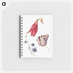 アートメモ帳-Tulp, Akelei en Amaryllis
 - ジョージアス ヤコブス ヨハネス ファン オス Memo.