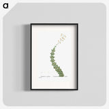 1-11_Histoire-des-Plantes-Grasses_blk