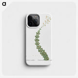 1-11_Histoire-des-Plantes-Grasses_phone