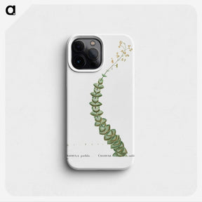 1-11_Histoire-des-Plantes-Grasses_phone