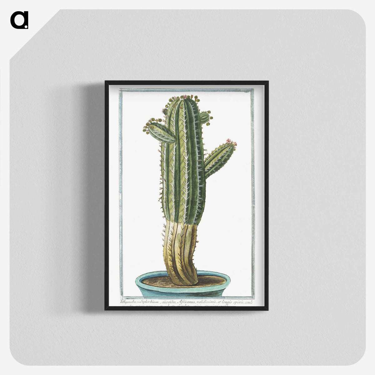1-11_Hortus-Romanus-Botanical-Plates_blk-crop