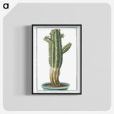 1-11_Hortus-Romanus-Botanical-Plates_blk-crop