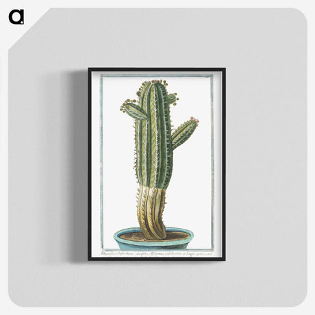 1-11_Hortus-Romanus-Botanical-Plates_blk-crop