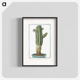 1-11_Hortus-Romanus-Botanical-Plates_blk