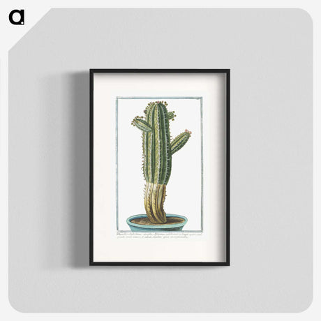 1-11_Hortus-Romanus-Botanical-Plates_blk