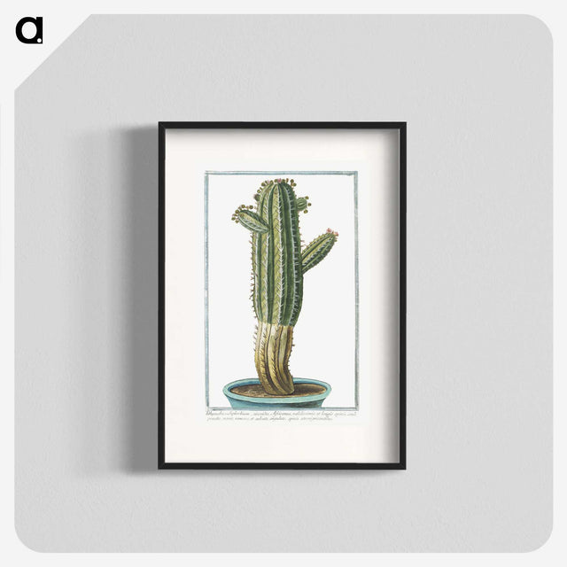 1-11_Hortus-Romanus-Botanical-Plates_blk