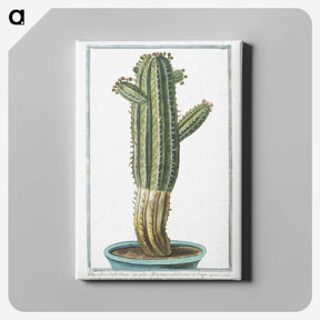 1-11_Hortus-Romanus-Botanical-Plates_canvas
