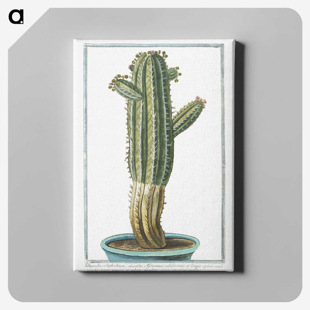 1-11_Hortus-Romanus-Botanical-Plates_canvas