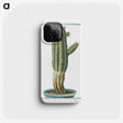 1-11_Hortus-Romanus-Botanical-Plates_phone