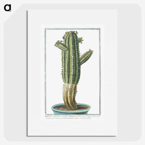 1-11_Hortus-Romanus-Botanical-Plates_picture