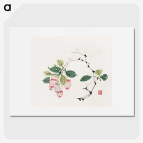 1-11_Hu-Zhengyan_picture