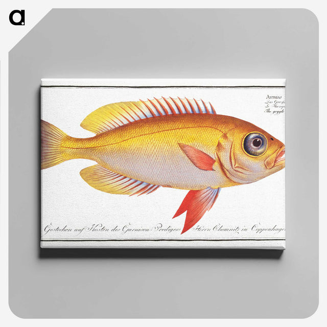 1-11_Ichtyologie-ou-Histoire-naturelle_canvas