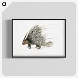 1-11_Indian-Zoology_blk-crop
