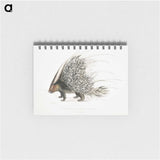 1-11_Indian-Zoology_memo